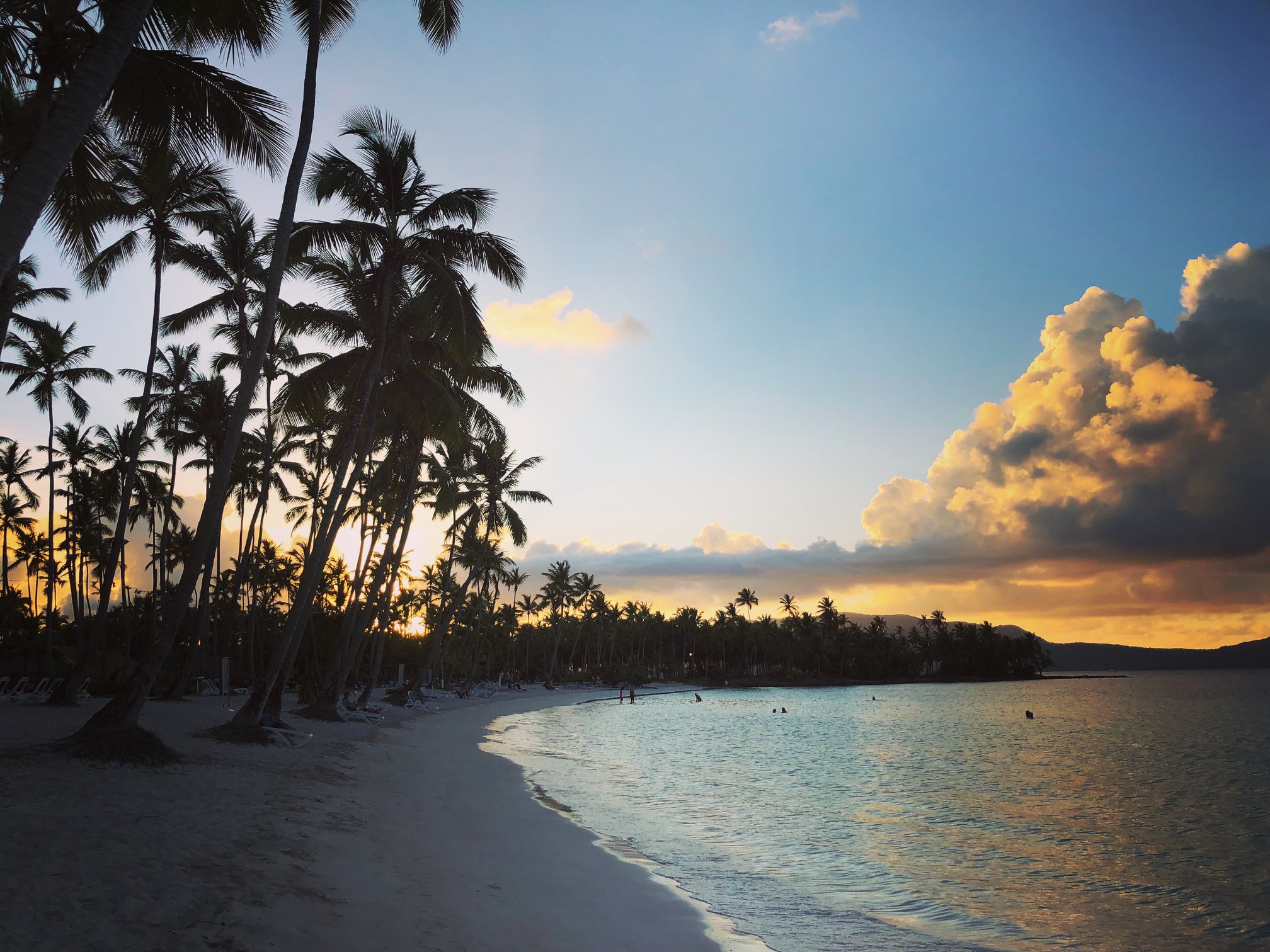 41061163_10156056869059132_5773555082373103616_o