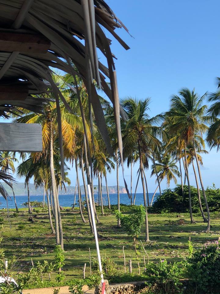 41089657_10156056871244132_5821939460920573952_n