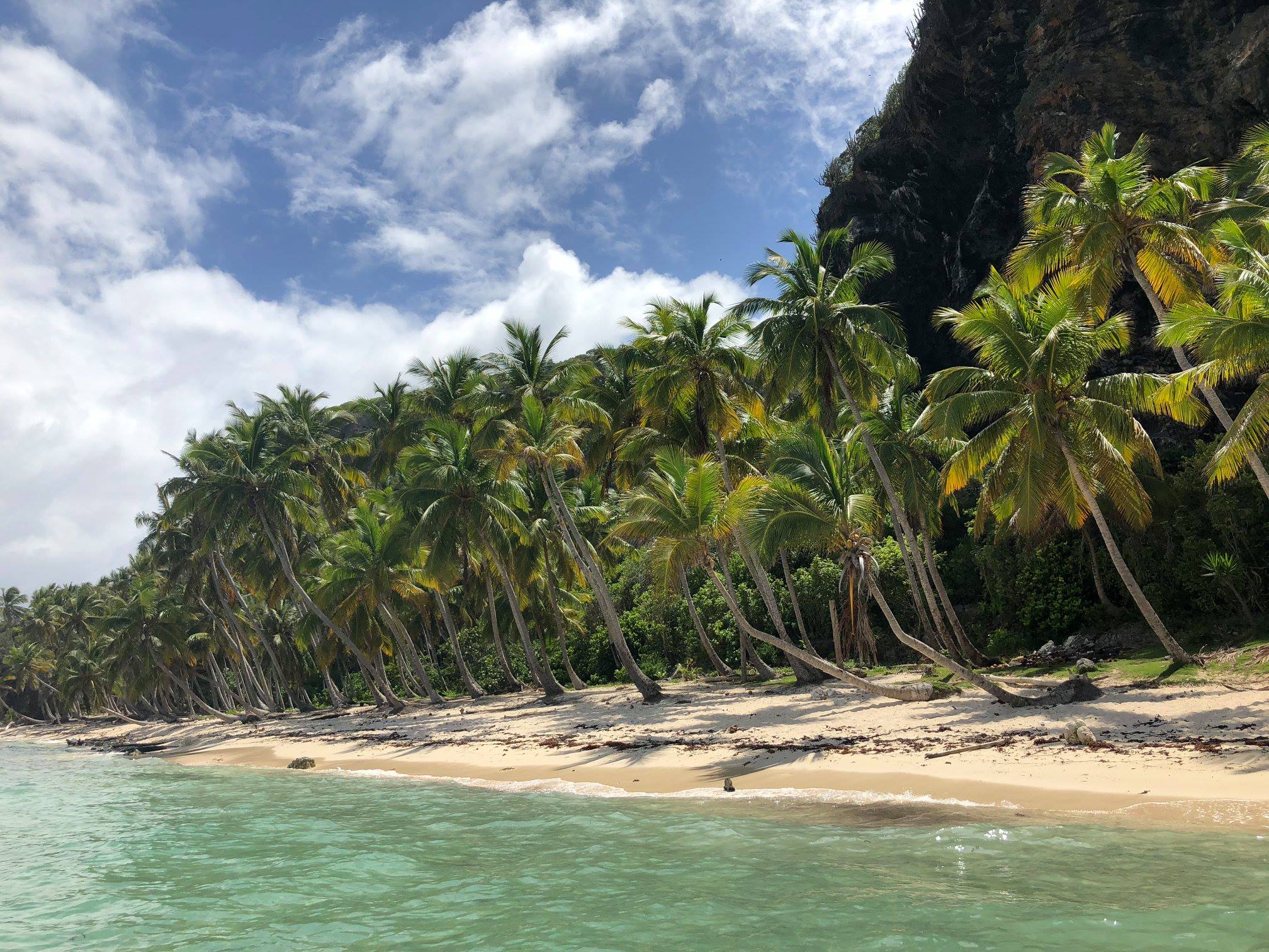 41104649_10156056871069132_2077815984218963968_o