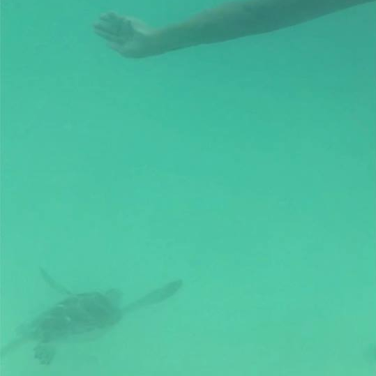 41290367_10156056869204132_278831188116766720_n