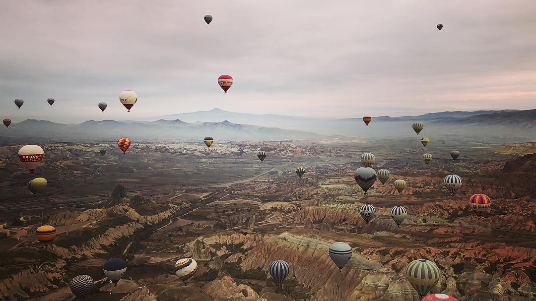 46415887_10156220653269132_6847556640225361920_o