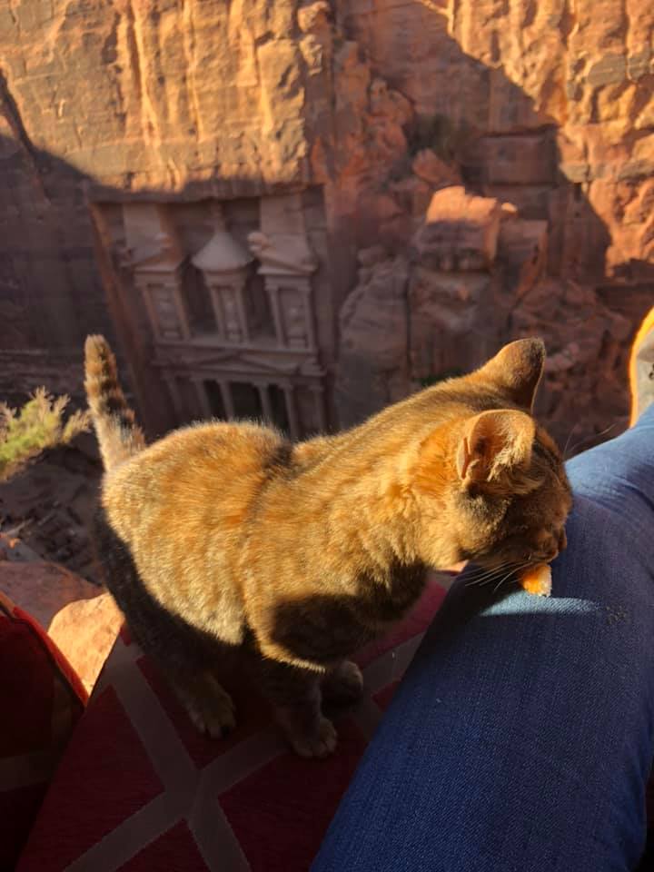 48380614_10156302991589132_4331408092051800064_n