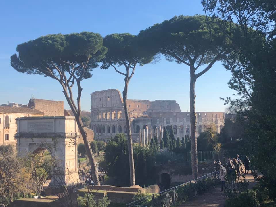 48420899_10156313319984132_5460644986619953152_n