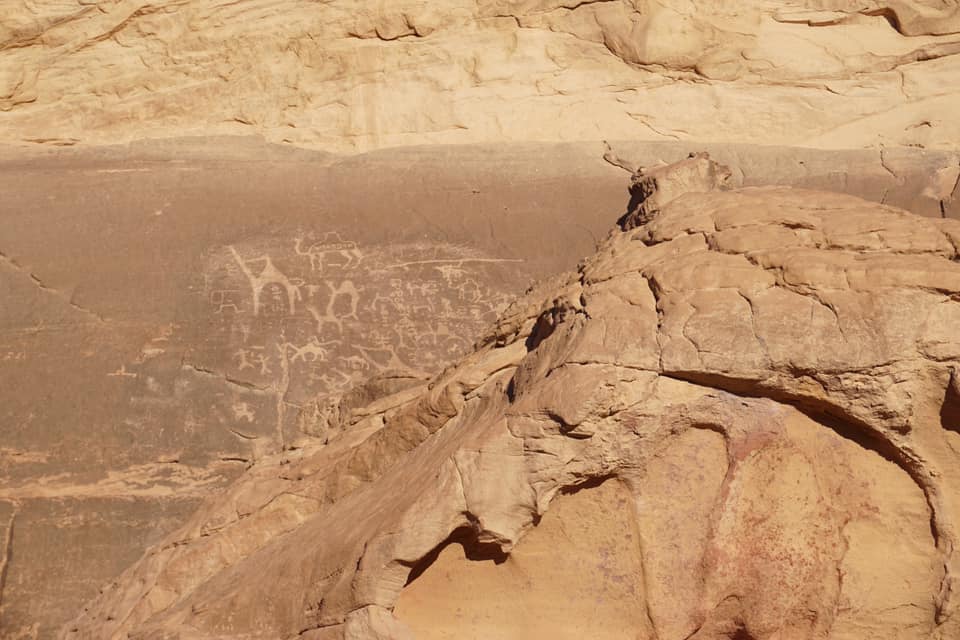 48426772_10156306112274132_7346503218634948608_n