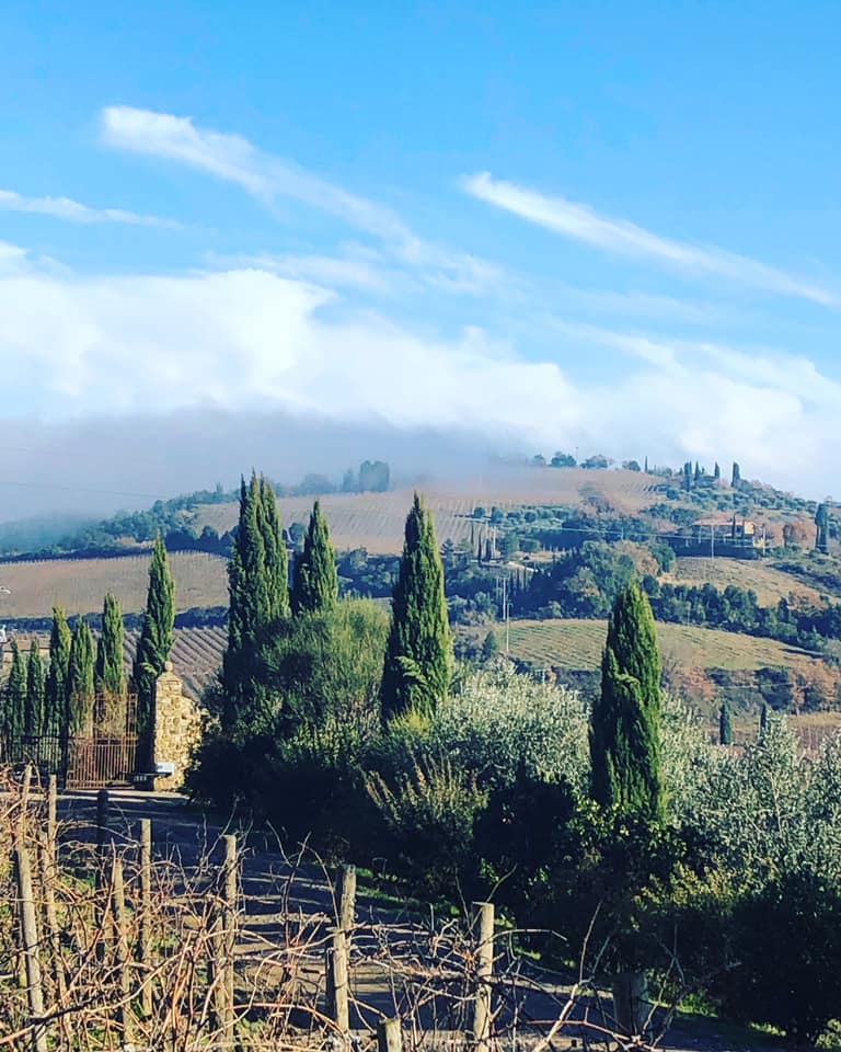 49406772_10156316013674132_8963127925301837824_n