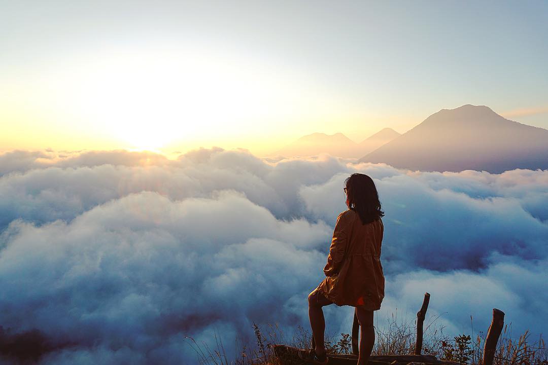 52144334_10156433105204132_4566162277077614592_o