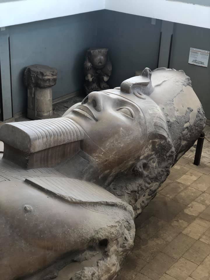 61121713_10156656909094132_3489795747023421440_n