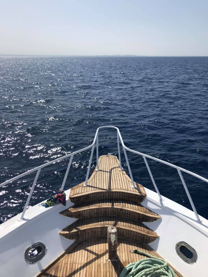 61257772_10156666537074132_8212592006757613568_n