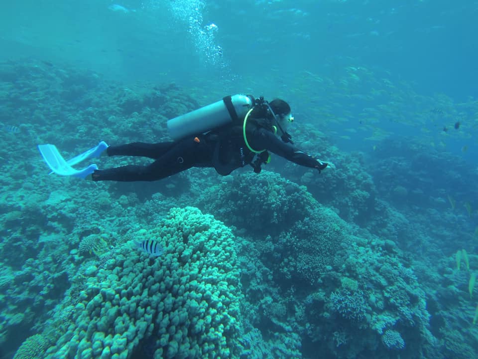 61273104_10156666535964132_3216459720453783552_n