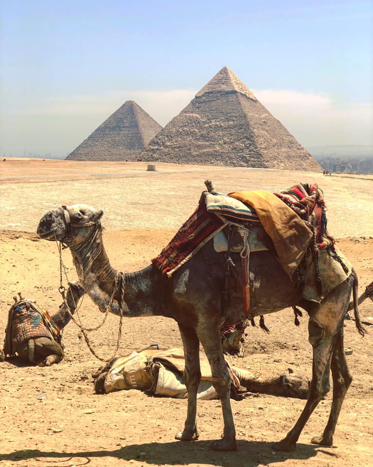 61339389_10156656910154132_3105953278534352896_n