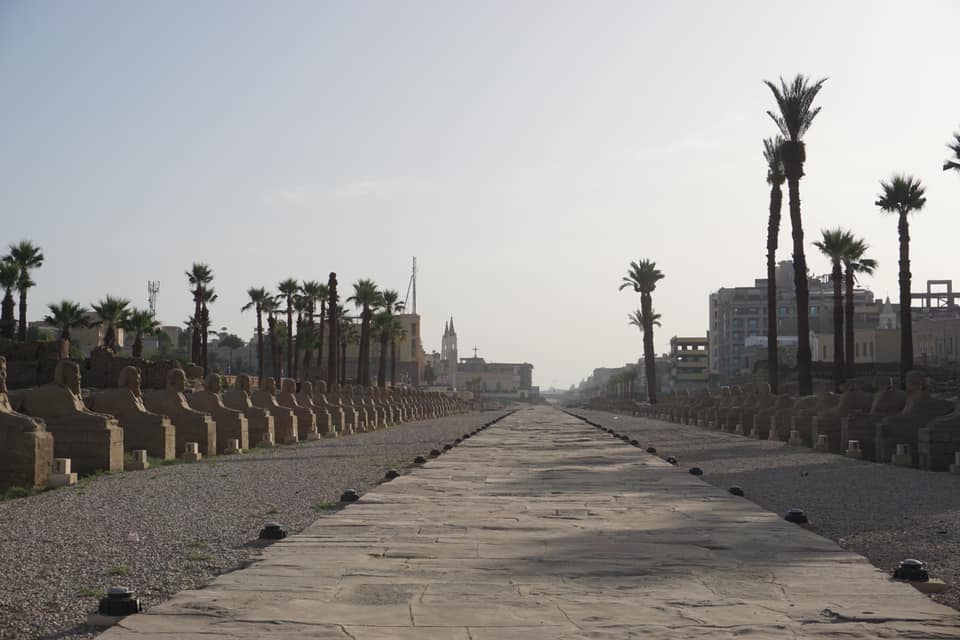 61438756_10156661467179132_6134947310129381376_n