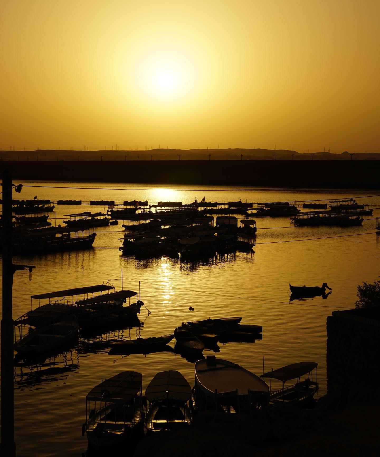 61558407_10156672912924132_6054510960746430464_o