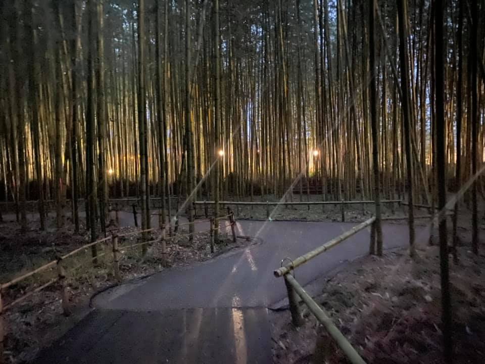 80627235_10157222764304132_6157975301272895488_n